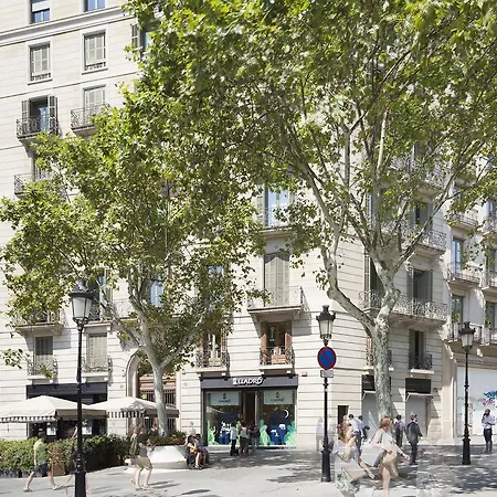 Bonavista - Pedrera